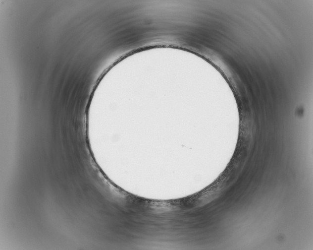 X0000089850807200707262106