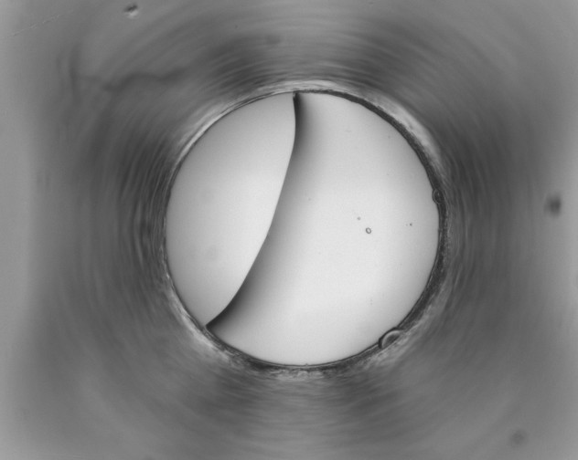 X0000089850809200707262106