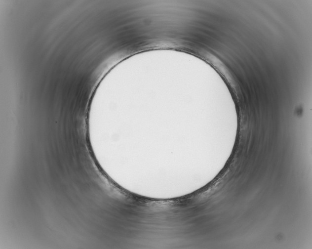 X0000089850810200707262106