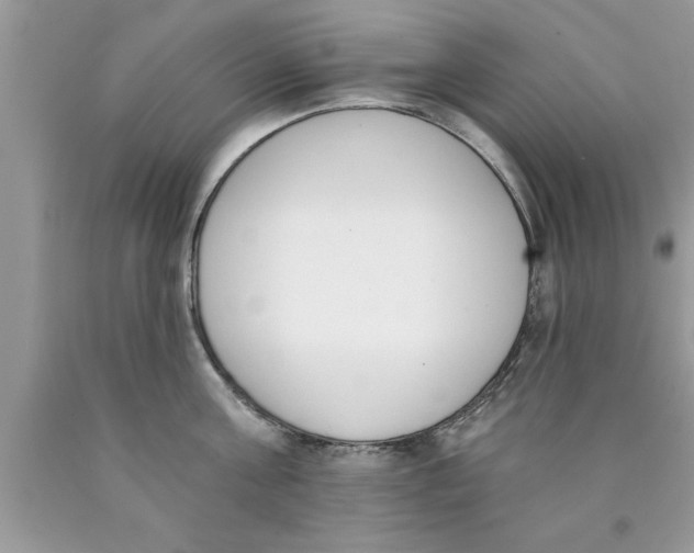 X0000089850811200707262106