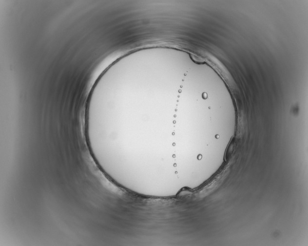 X0000089850812200707262106