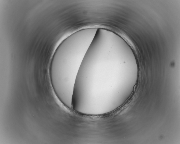 X0000089850813200707262106