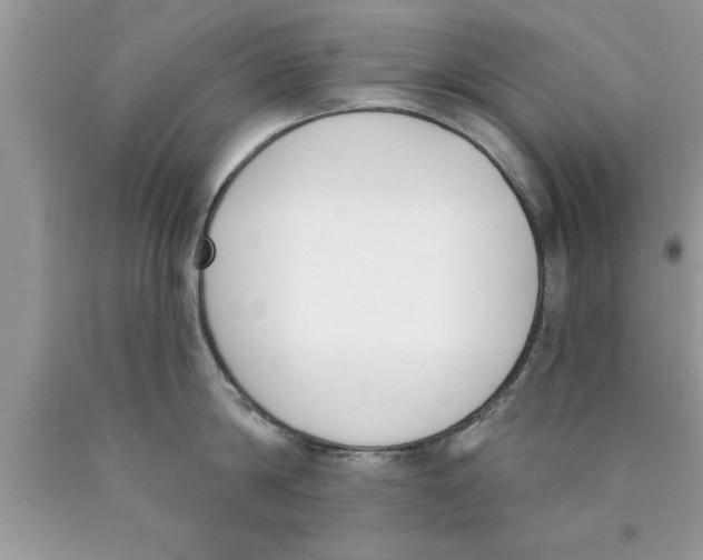 X0000089850814200707262106