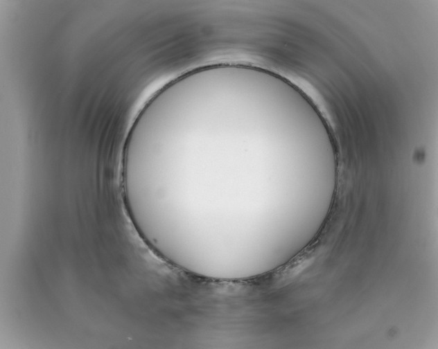 X0000089850815200707262106