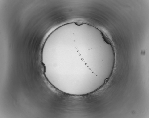 X0000089850816200707262106