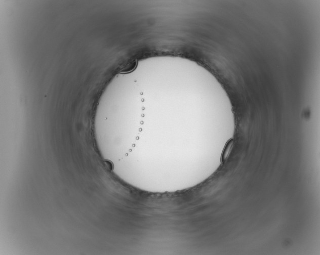 X0000089850817200707262106