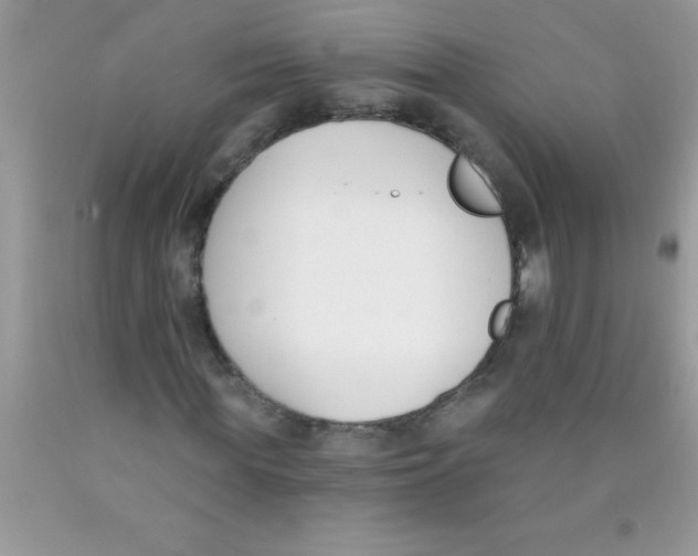 X0000089850819200707262106