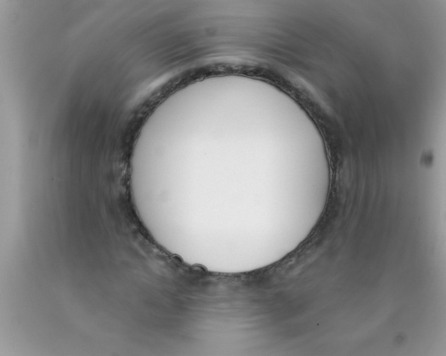 X0000089850822200707262106