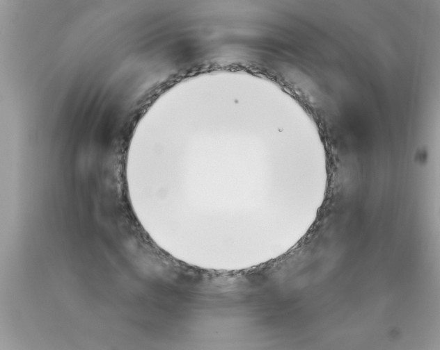 X0000089850824200707262106