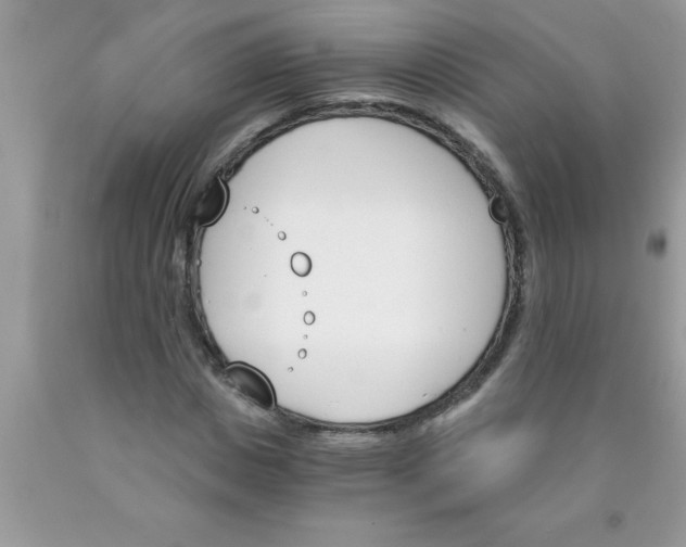 X0000089850825200707262106