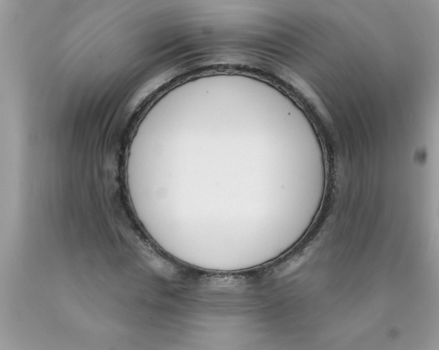 X0000089850826200707262106