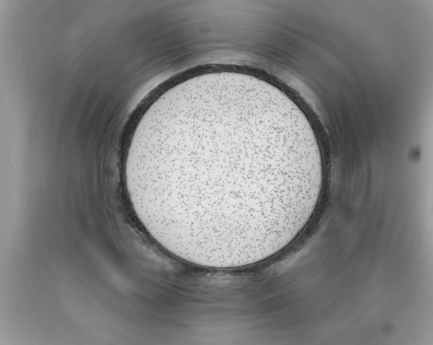 X0000089850829200707262106