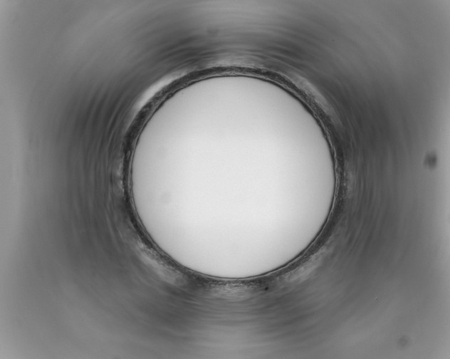 X0000089850830200707262106