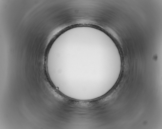 X0000089850831200707262106