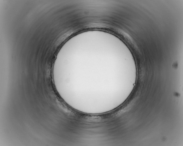 X0000089850833200707262106