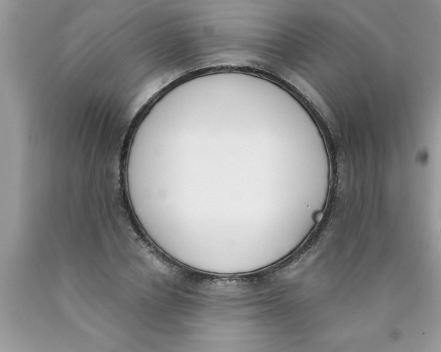 X0000089850834200707262106