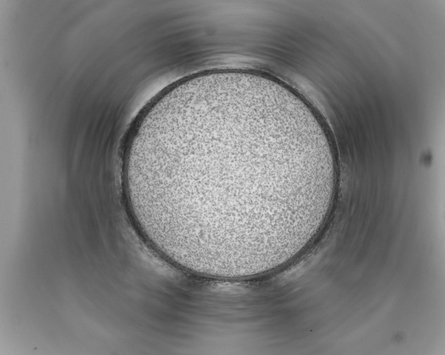 X0000089850835200707262106