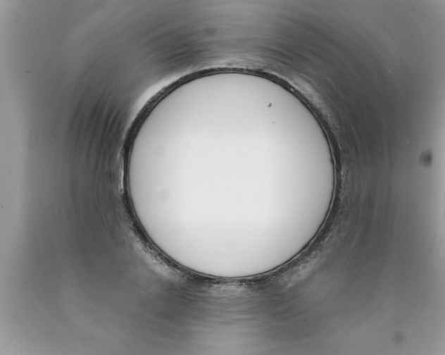 X0000089850838200707262106