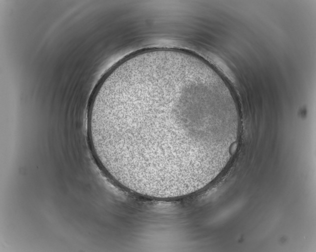 X0000089850839200707262106