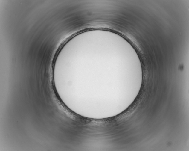 X0000089850840200707262106