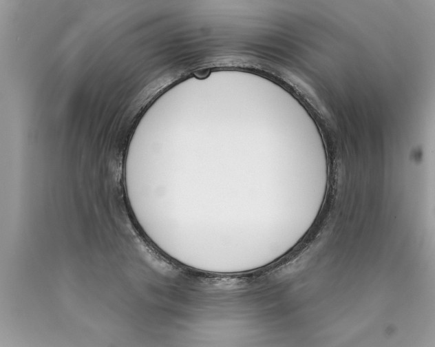 X0000089850841200707262106