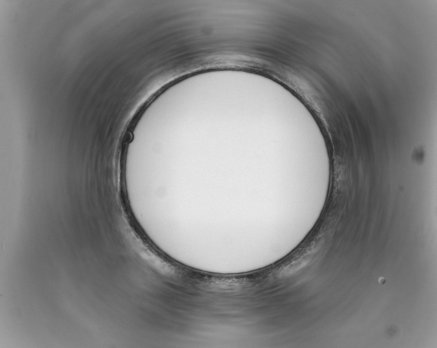 X0000089850843200707262106