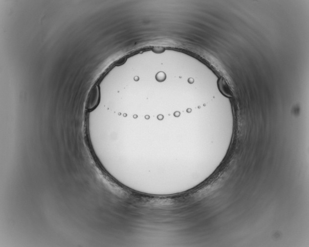 X0000089850845200707262106