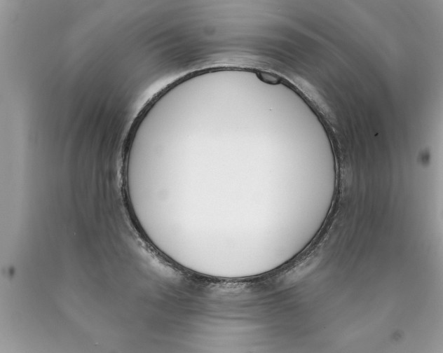 X0000089850846200707262106