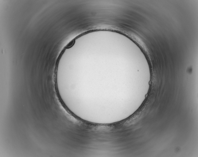 X0000089850847200707262106