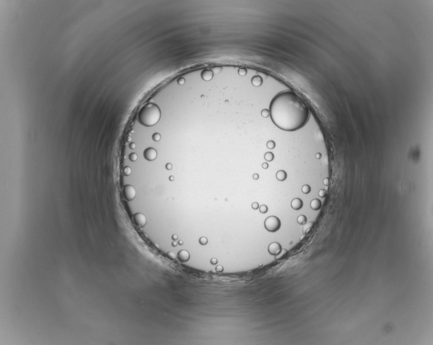 X0000089850848200707262106