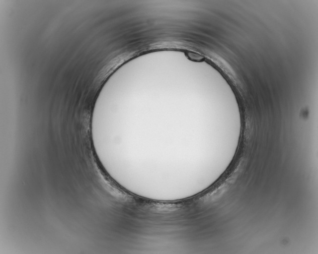 X0000089850849200707262106