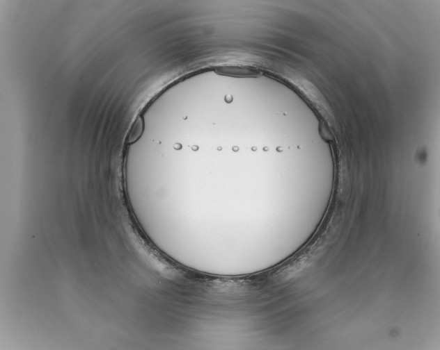 X0000089850850200707262106