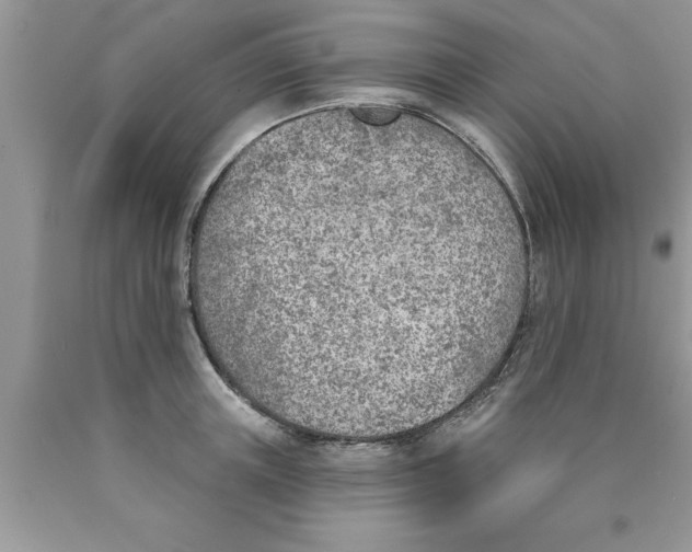 X0000089850851200707262106