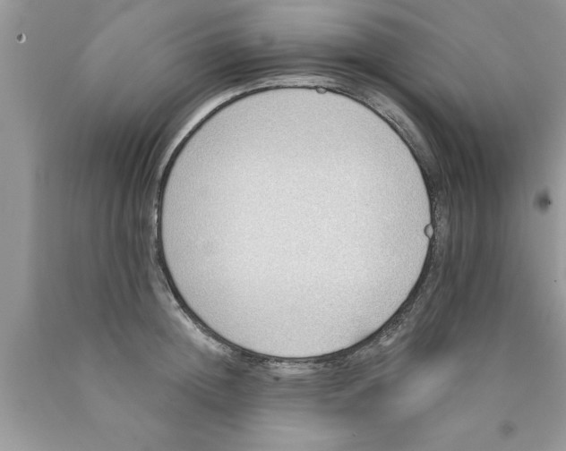 X0000089850852200707262106