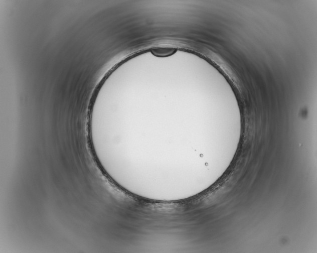 X0000089850853200707262106