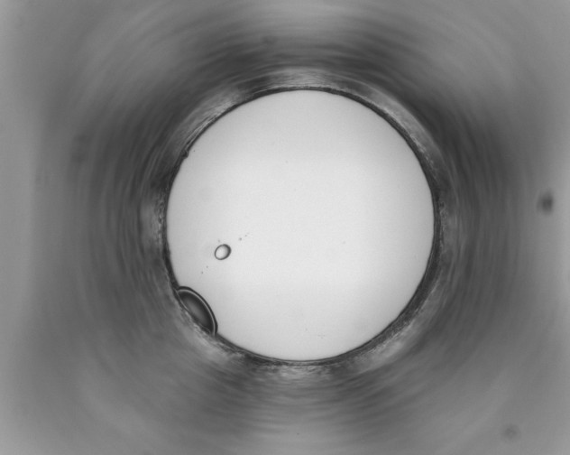 X0000089850857200707262106