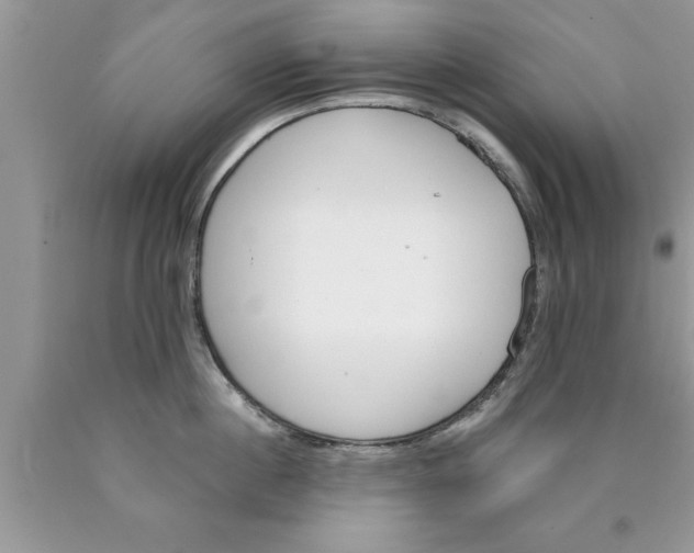 X0000089850860200707262106