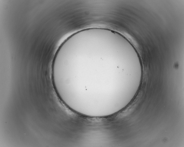 X0000089850862200707262106