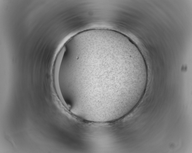 X0000089850864200707262106