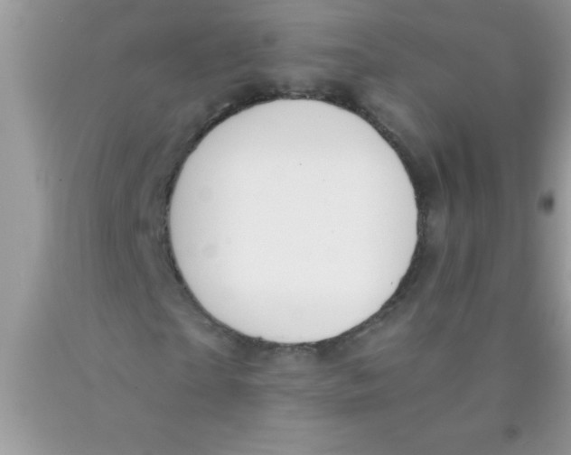 X0000089850865200707262106