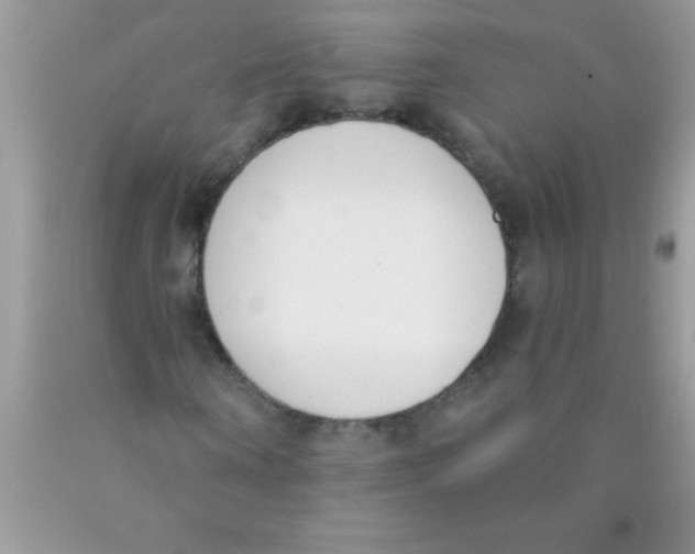 X0000089850866200707262106