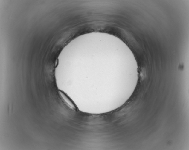 X0000089850867200707262106