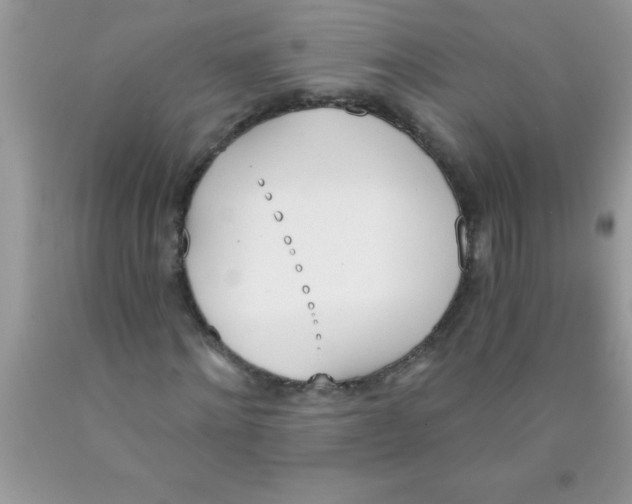 X0000089850868200707262106