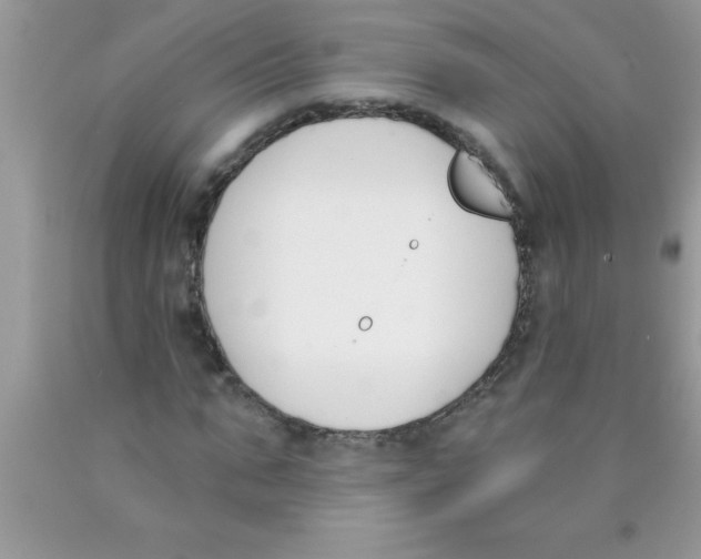 X0000089850871200707262106