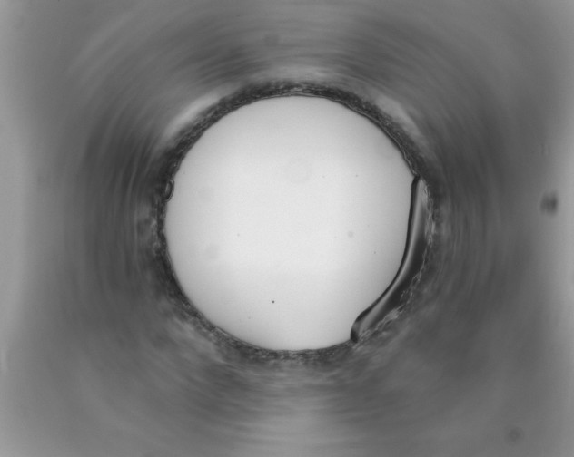 X0000089850872200707262105