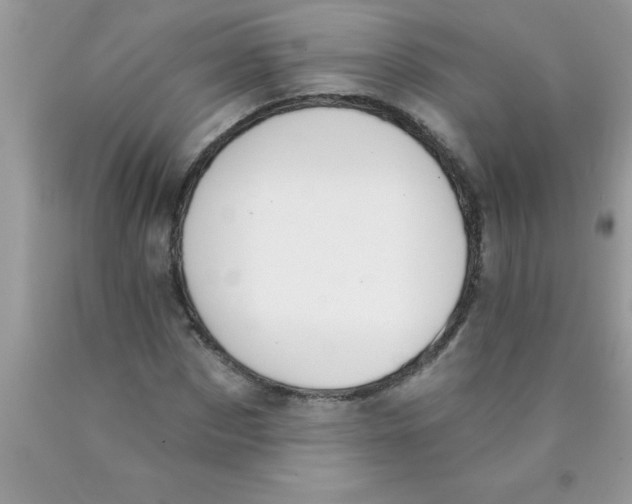 X0000089850873200707262105