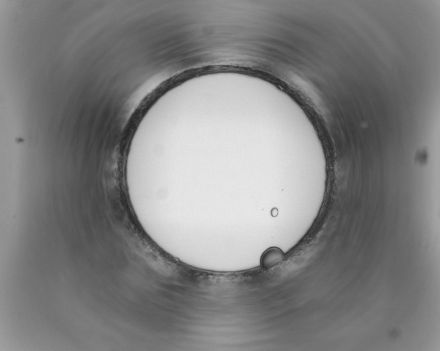 X0000089850875200707262105