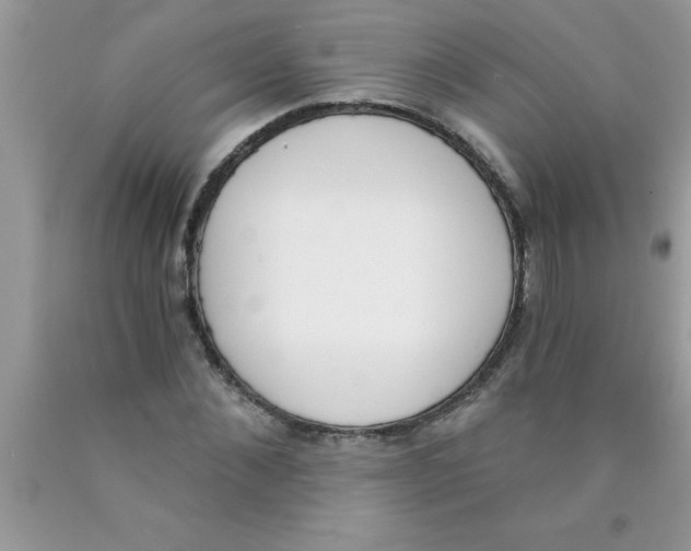 X0000089850876200707262105