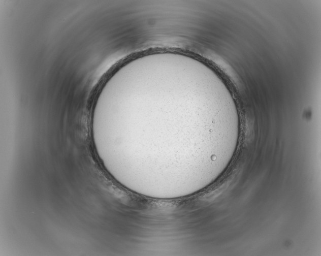 X0000089850878200707262105