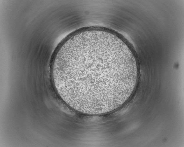 X0000089850879200707262105